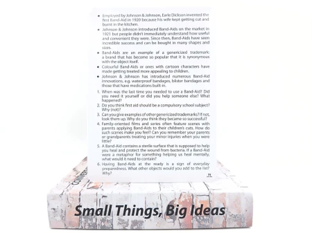 Small Things, Big Ideas__4.png